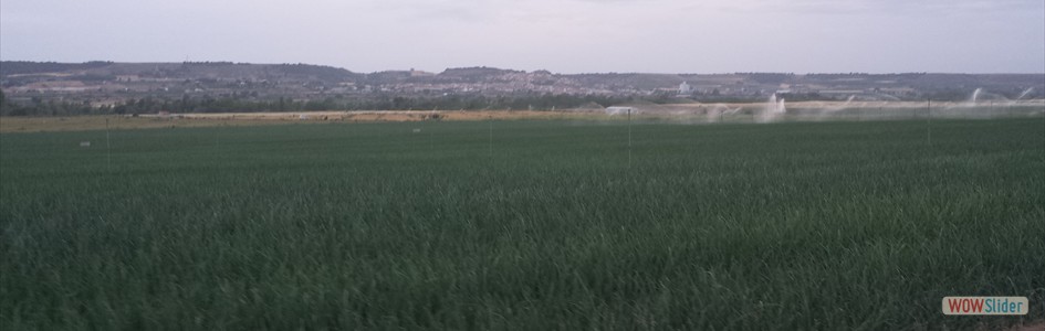 20140610_210814